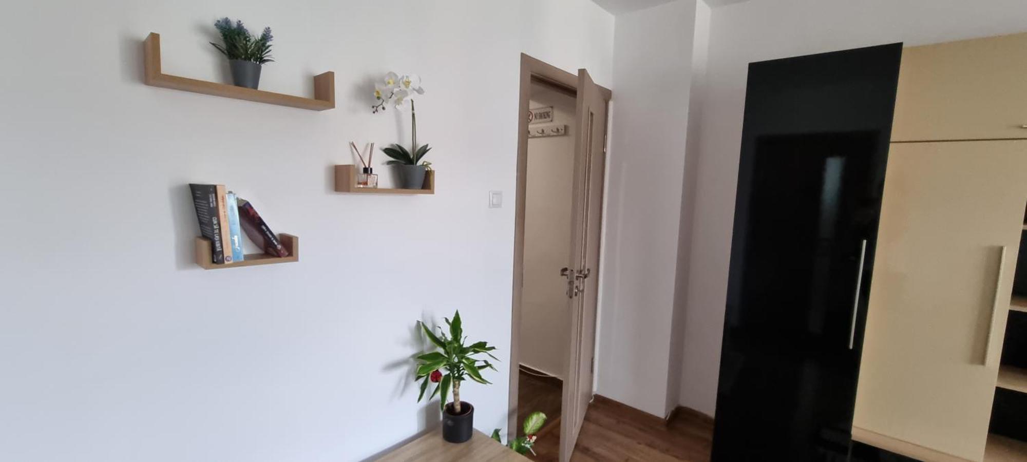 Dacia Apartment Timisoara Exterior photo